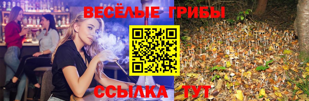 Элиста  Галлюциногенные грибы прущие грибы  Псилоцибиновые грибы GOLDEN TEACHER  где купить   Вход с VPN 