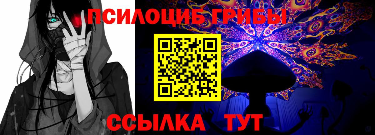 Галлюциногенные грибы Magic Shrooms Элиста